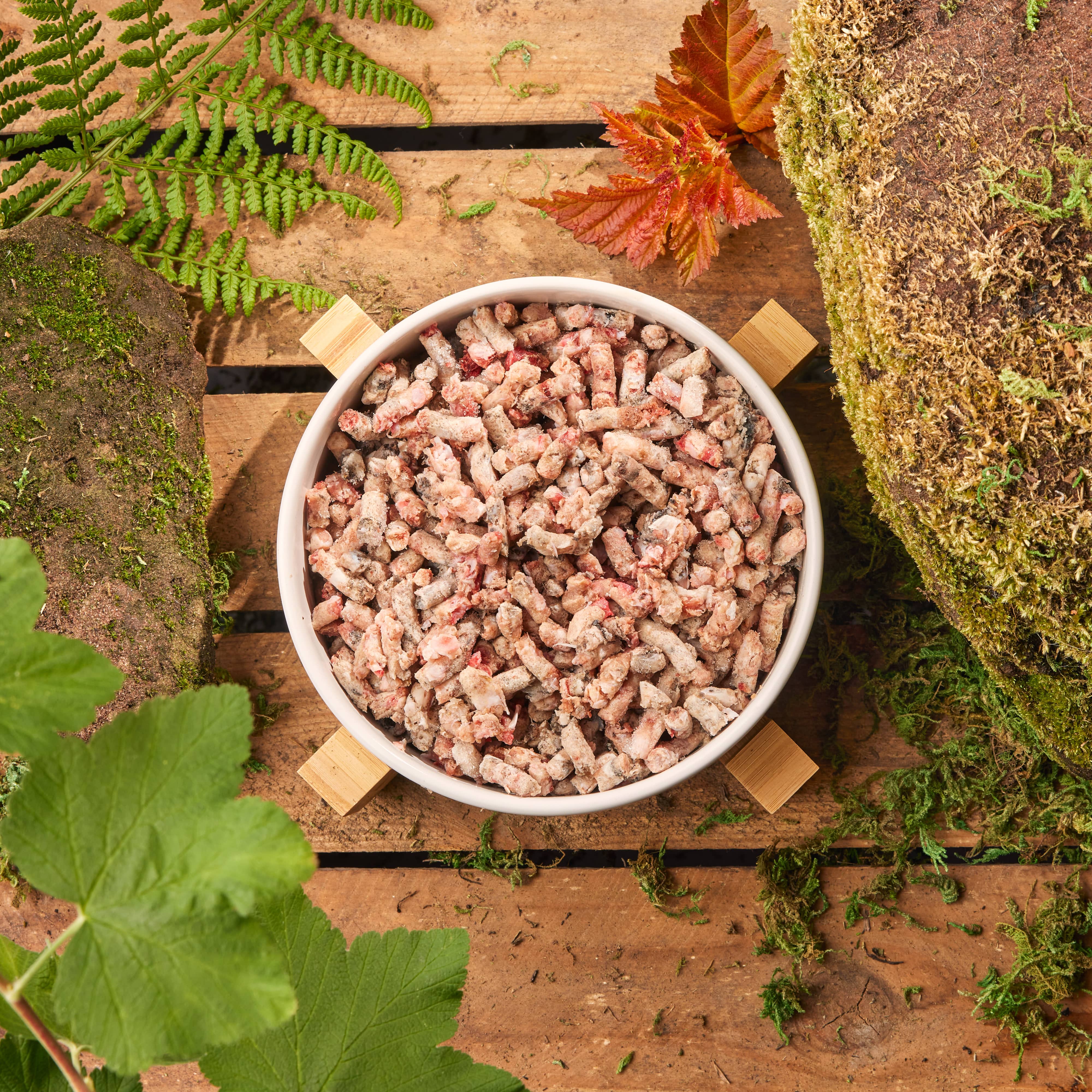 Our Complete Dog Collection